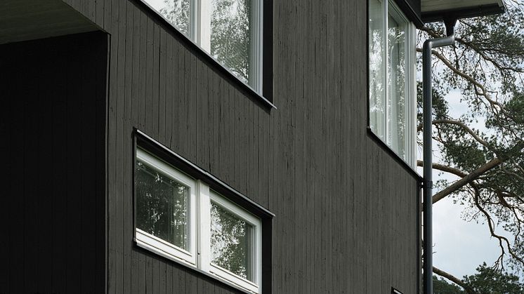 Alcro-fasad Svart-fönster Tonad vit.jpg