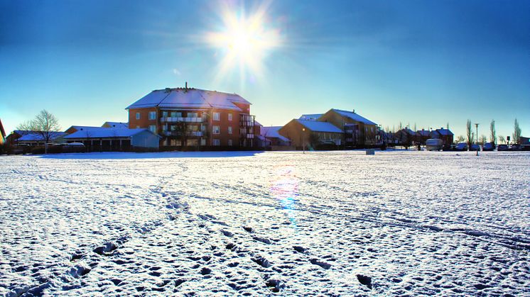 Vinter i Skåne