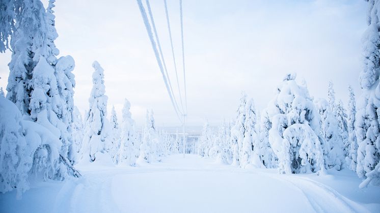 Justering av elnätsavgiften i Luleå 2024