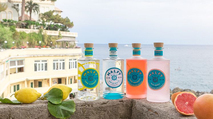 MALFY  - Italienischer Gin in vier Varianten