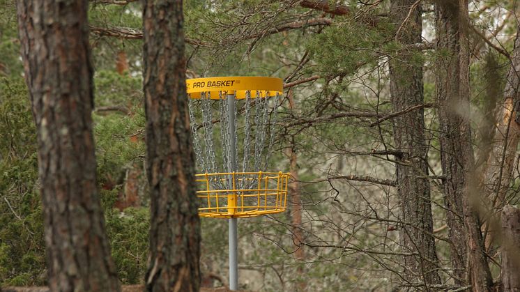 Nu sätter vi Vallentuna på den svenska discgolfkartan