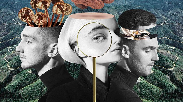 Clean Bandit - What Is Love? artwork