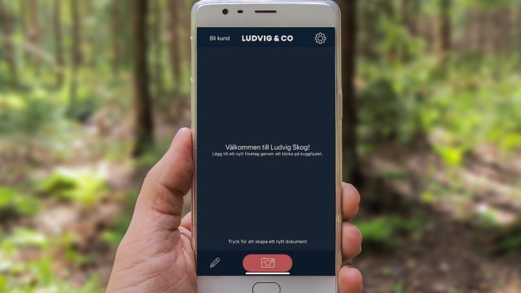 Ludvig & Co lanserar ny ekonomitjänst för skogsägare