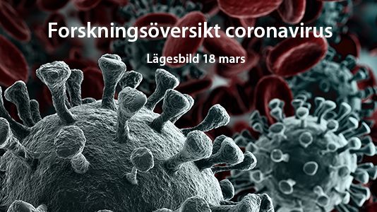 Forskningsöversikt ger lägesbild i kampen mot coronaviruset