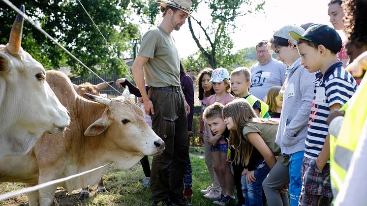 Ab Juli können rund 750 Kinder im Alter von sechs bis zehn Jahren in zehn deutschen Städten auf Naturlandhöfen selbst mit anpacken. 