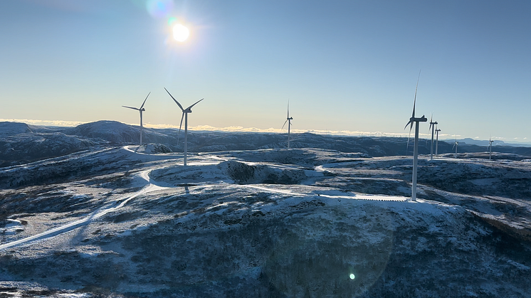 Roan wind park. Photo: Aneo.
