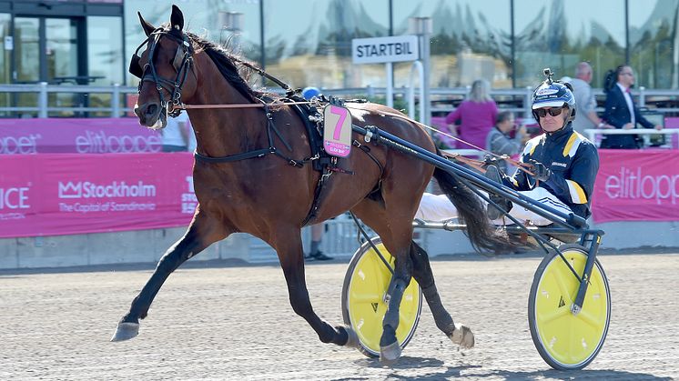 Click Bait vann H.K.H. Prins Daniels Lopp i Gävle och är klar för Elitloppet. Foto: TR Bild