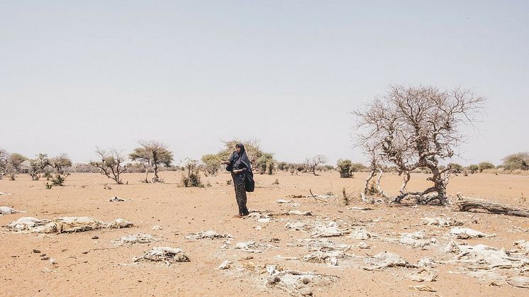Mareya är jordbrukare i Kenya. Av hennes 31 boskap har hon bara 7 kvar, resten har dött på grund av torkan.  Foto: Khadija Farah/Oxfam