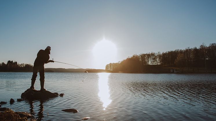 Under 2021 ägnade sig ungefär 1,5 miljoner personer åt fritidsfiske minst en gång. Det här visar en enkät som gjorts av statistikmyndigheten SCB på uppdrag av HaV. Foto: Natalie Greppi