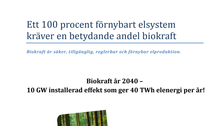 Rapport från Biokraftplattformen