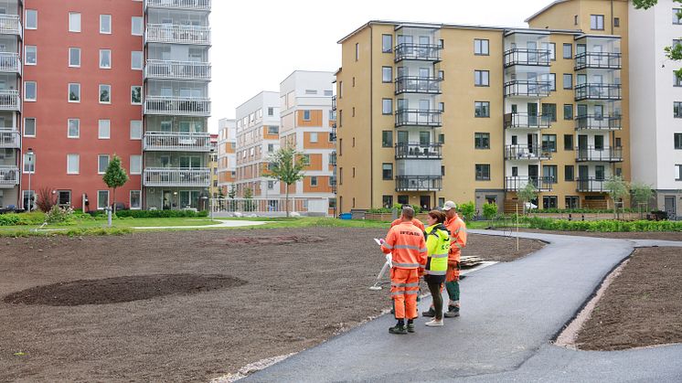 Öster Mälarstrand träfasad 2017-06-09 Per Groth 7 (003)