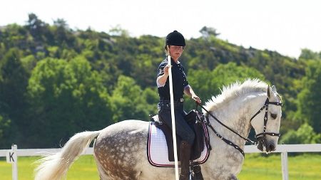 I helgen rids ett världsmästerskap - i Working Equitation. Sverige har för första gången ett lag till start. Följ resultaten på ridsport.se