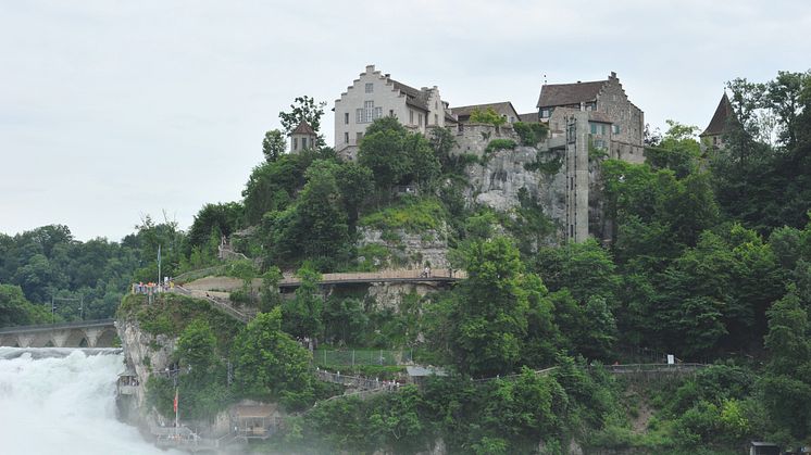 Jugendherberge Dachsen im Schloss Laufen
