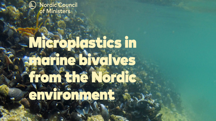 Rapport mikroplast i nordiske farvann