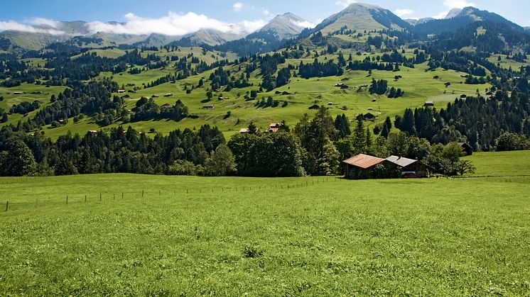 Naturpark Diemtigtal © SchweizTourismus / Fotograf Roland Gerth