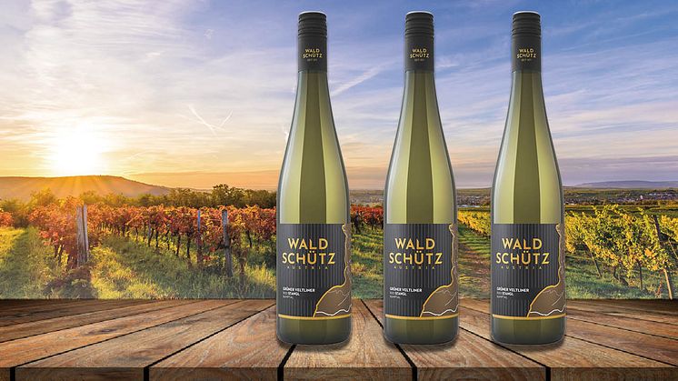 Grüner Veltliner Ried Stangl 2020 är ett nytt vin från Weingut Waldschütz i DAC Kamptal i Österrike.