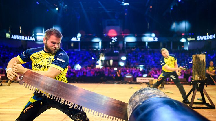 Svenska landslaget i TIMBERSPORTS® är redo för VM 2023 i Stuttgart, och siktar på att bli Europas bästa lag.