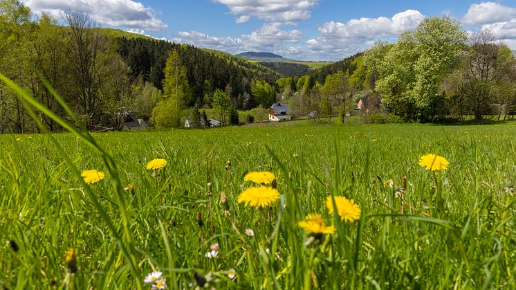 Landschaft_Frühling_Schindelbachtal 05.2021 (1 von 9) Foto TVE_RonnyKüttnerPhotoron.jpg