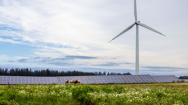 Sønderborg Kommune udpeger 14 mulige områder til vind- og solcelleanlæg
