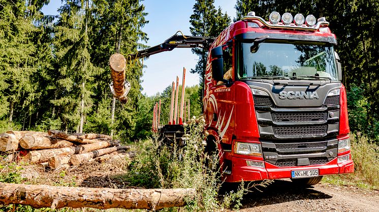 Unterwegs in den Wäldern im Südwesten Deutschlands: Uwe Engraf benötigt für seine Touren ein Maximum an Leistung, Durchzugskraft und Traktion. Das bietet nur der Scania V8.