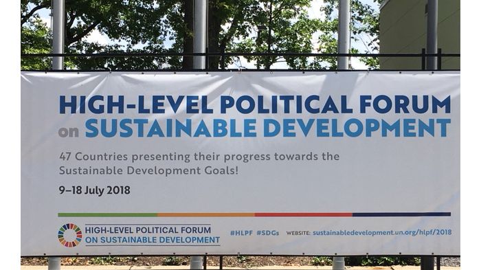 HLPF i New York 2018. Foto: Lisa Diedrich, SLU