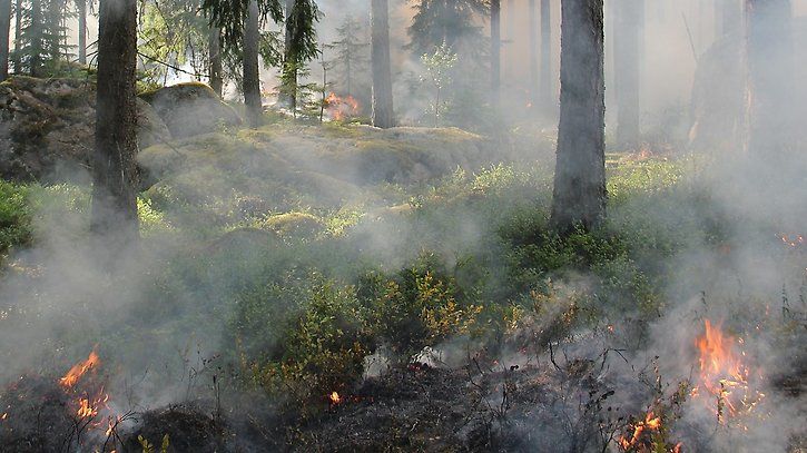 Var försiktig vid eldning och grillning