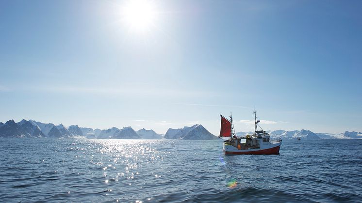 Pêche au Skrei