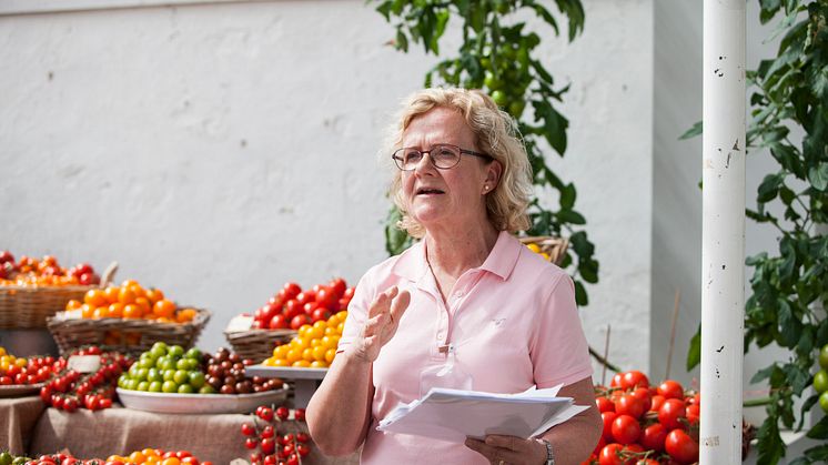 Snart är det dags för första tomatskörden hos Annicka Assarsson