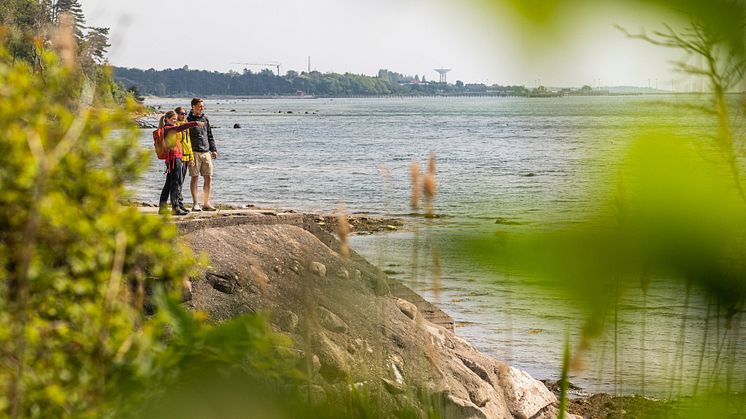 Från april till oktober kan du lära dig mer om Landskrona och Vens natur, kultur och historia genom guidade turer. Foto: Oskar Fäldt