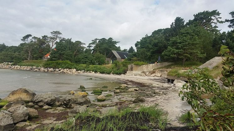 Strandremsan söder om Revhaken i Äspet, Åhus, är en av de stränder där vattenmiljökonsulterna vid DHI ger Kristianstads kommun förslag till åtgärder mot erosion.