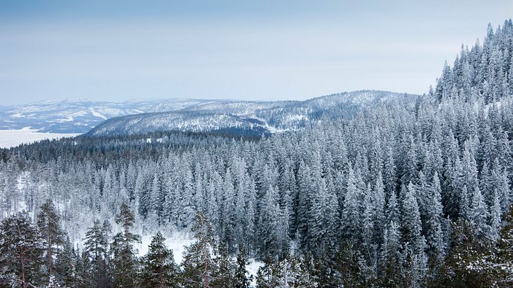 Vad gör vi i Höga Kusten just nu