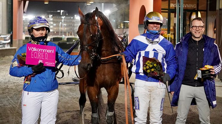 Ecurie D. är inbjuden till Elitloppet efter segern på Solvalla den 7 april. Foto: Solvalla