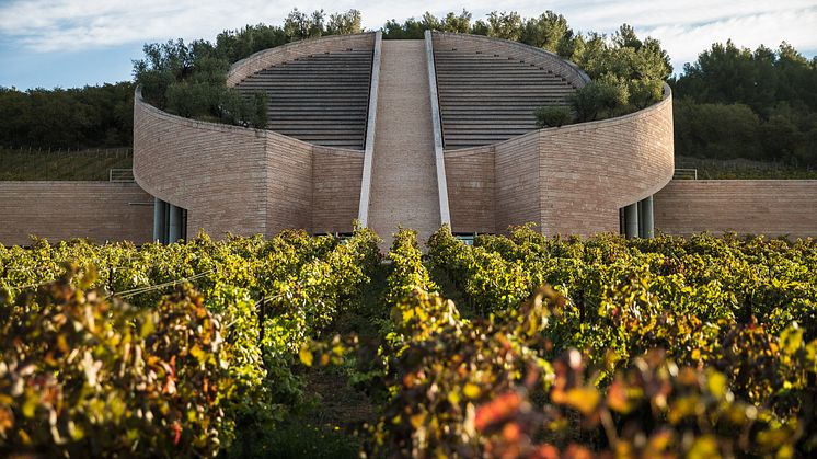 Petra Wines, Italien. Nu tillgängligt i Sverige.