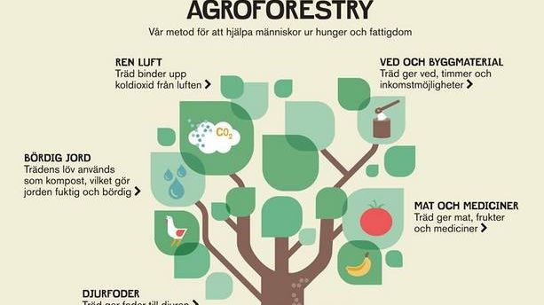 EcoOnline klimatkompenserar och bidrar till att minska hunger och fattigdom