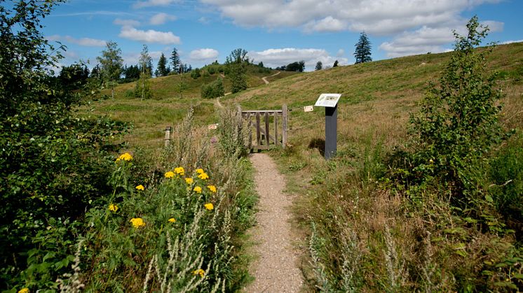 Bikubenfonden bygger forsknings- og feltstation til SDU 