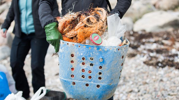 Strandstädning på västkusten. Bild från Håll Sverige Rent.