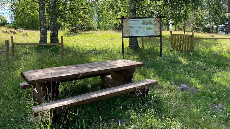 Råsvalslund i Guldsmedshyttan - en vikingatida boplats och nutida betesmark.