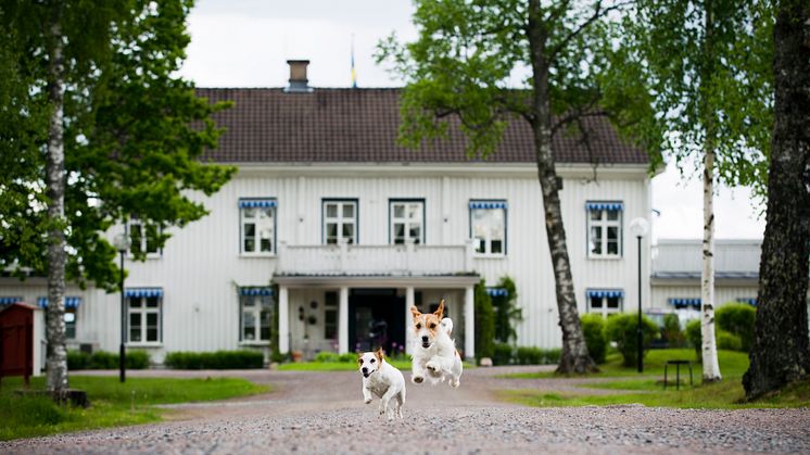 Ulvsby Herrgård Hus & Hund 02.jpg