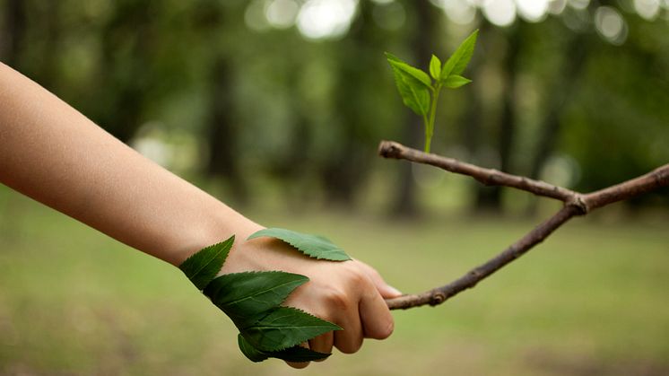 Endast 122 kommuner ställer klimatkrav vid upphandling