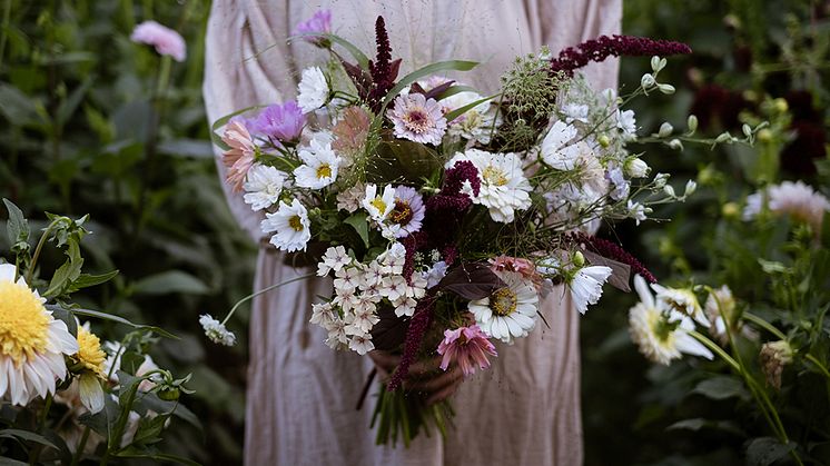 Weibulls torvfria blomjord – optimal för blommande växter