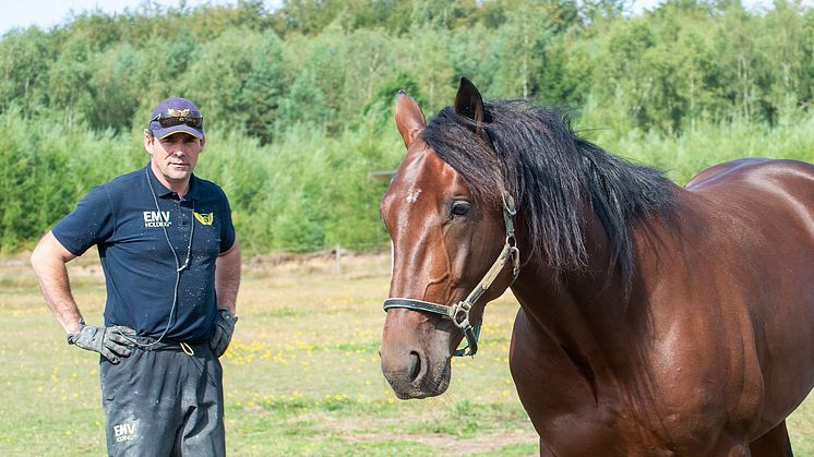 Campo Bahia kommer att dra sig till en hel del uppmärksamhet vid Jägersros hingstdag den 18 mars. Foto: TR BILD