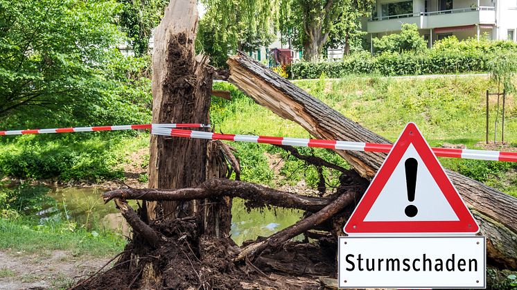 Ab Donnerstag wird es stürmisch - am besten jetzt schon alles festzurren, was zur Gefahr werden kann.