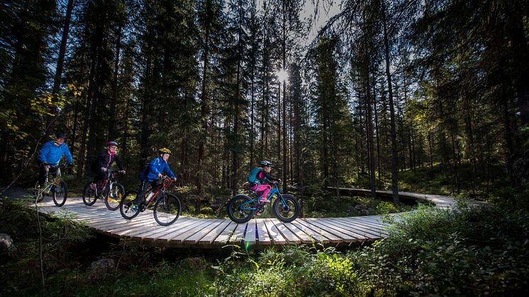 Trekloppene i Gullia er spennende å sykle på - både for store og små.