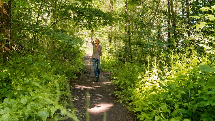 Skogsbad med Lisen Sundgren