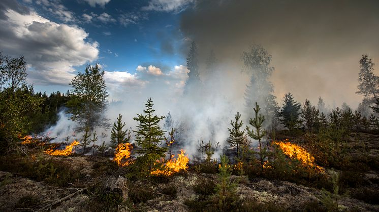 MSB uppmanar allmänheten till försiktighet och att följa eldningsförbud som utfärdats på många håll i landet.