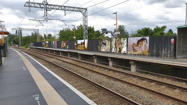 How the murals at Cannock station will look