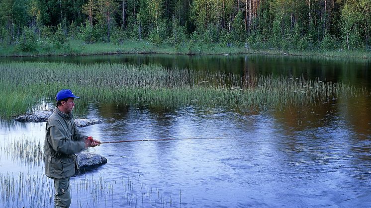  Fritidsfiske efter harr. Foto: Alf Linderheim / Naturfotograferna /IBL Bildbyrå