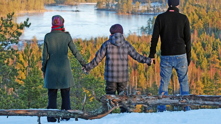 Svensk Sjöfarts verksamhetsberättelse "Sjöfartsåret 2017" har publicerats