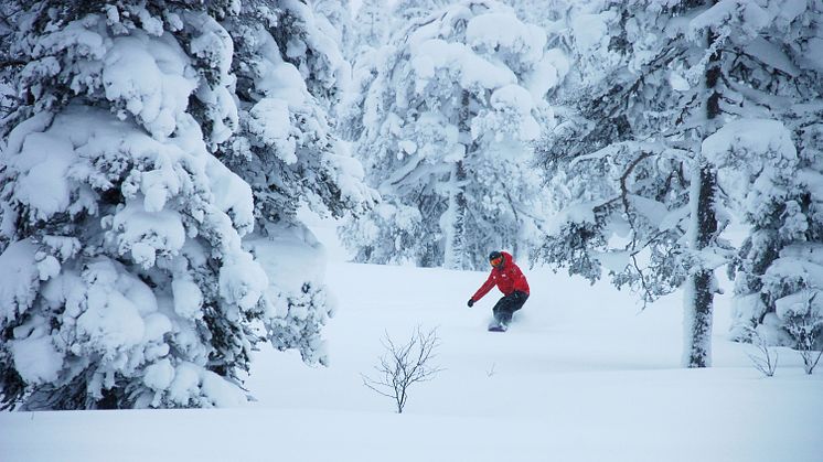 SkiStar Sälen: Sean Banan och Mix Megapols Fjällkalas intar Lindvallen