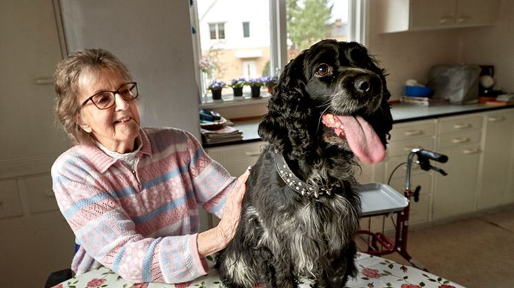 Årets bragdhund Salsa tillsammans med sin granne Sigrid.